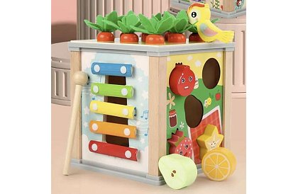 Cubul de lem senzorial și educațional