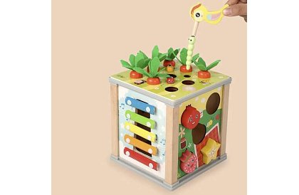 Cubul de lem senzorial și educațional