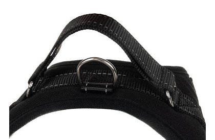 Ham strânsă fără presiune pentru câini - Mărimea S