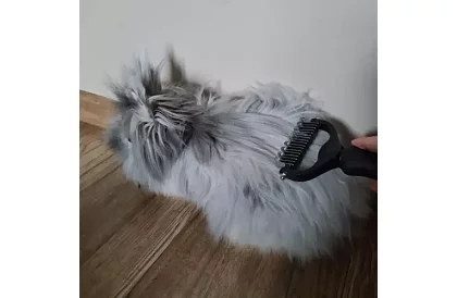 Pieptene pentru blană și subblană