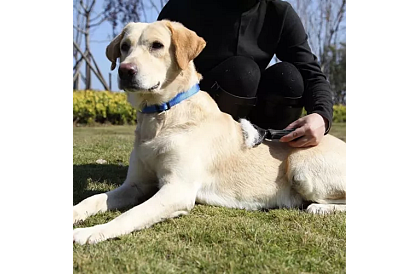 Pieptene pentru blană și subblană