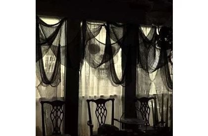 Pânza mare artificială pentru Halloween – 198x76 cm - neagră