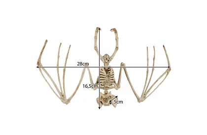 Scheletul unui liliac 30 cm - decoratiune de Halloween