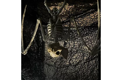 Scheletul unui liliac 30 cm - decoratiune de Halloween