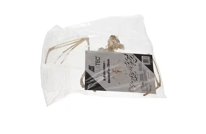 Scheletul unui liliac 30 cm - decoratiune de Halloween