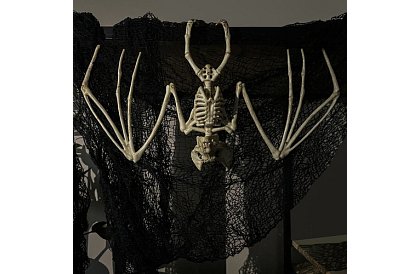 Scheletul unui liliac 30 cm - decoratiune de Halloween