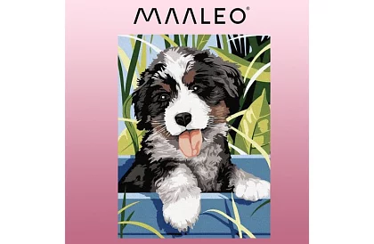 Pictură după numere - câine - 40x30 cm