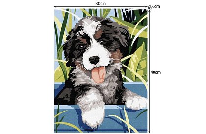 Pictură după numere - câine - 40x30 cm