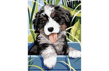 Pictură după numere - câine - 40x30 cm