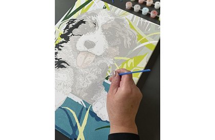 Pictură după numere - câine - 40x30 cm