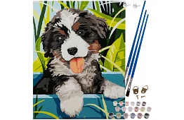 Pictură după numere - câine - 40x30 cm