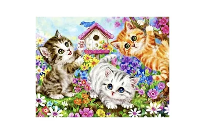 Pictură după numere - pisici - 40x50 cm