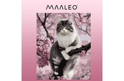 Pictură după numere - pisică - 40x50 cm