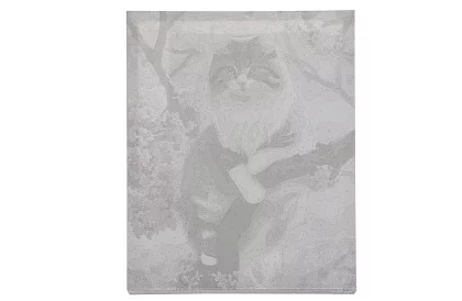 Pictură după numere - pisică - 40x50 cm