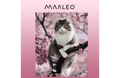 Pictură după numere - pisică - 40x50 cm