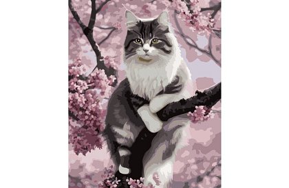 Pictură după numere - pisică - 40x50 cm