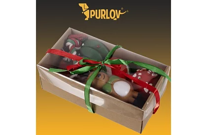 Set de jucării pentru câini - 6 bucăți