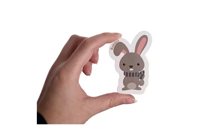 Set de 40 magneți cu animale în cutie