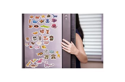 Set de 40 magneți cu animale în cutie