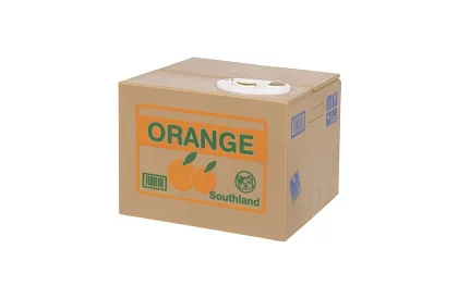 Casier automat - pisica hoata de monede