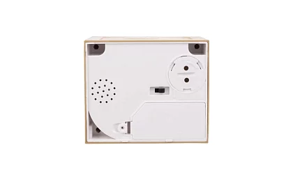 Casier automat - pisica hoata de monede