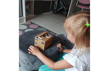 Casier automat - pisica hoata de monede