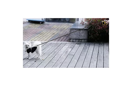 Curea flexibilă automată până la 50 kg – 8 m