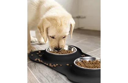 Bol cuvă dublă cu suport – 2 × 450 ml