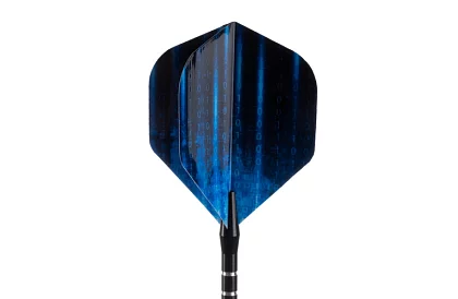 Set de săgeți – 12 bucăți + 100 vârfuri