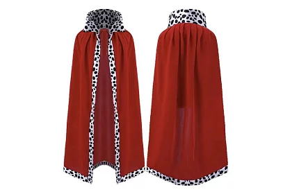 Costum regal + accesorii