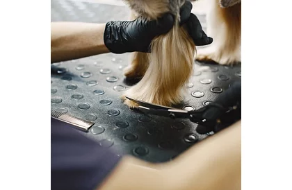 Set de îngrijire și tuns pentru câini în husă