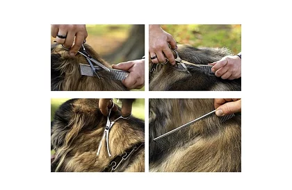 Set de îngrijire și tuns pentru câini în husă