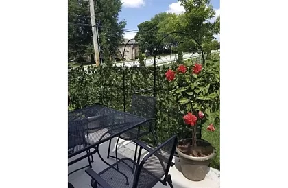 Gardă de viață artificială 300 cm – Iedera