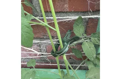 Clips pentru fixarea plantelor 108 bucăți