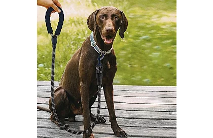 Curea pentru câini rezistentă cu elemente reflectorizante – 3 m