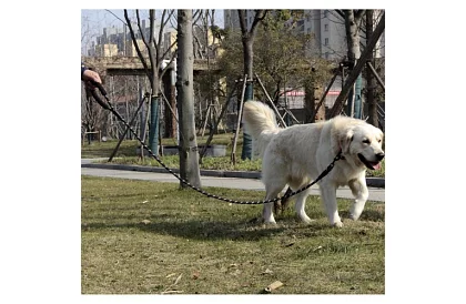 Curea pentru câini rezistentă cu elemente reflectorizante – 3 m