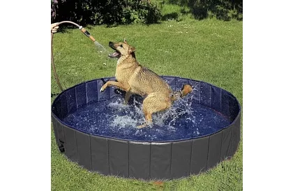 Piscină pliabilă pentru câini – 120 × 30 cm