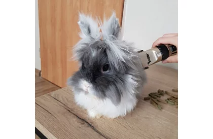 Zast cutter pentru animale de companie + accesorii