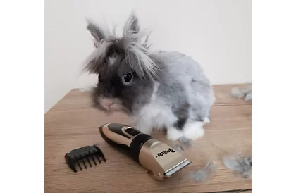 Zast cutter pentru animale de companie + accesorii