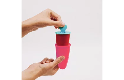 Formă pentru înghețate de casă